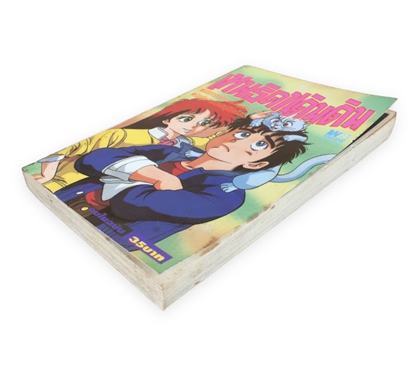 เทพธิดาเดินดิน