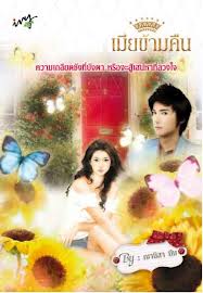 เมียข้ามคืน / ญานิสา บีม #หนังสือนิยายมือสอง #นิยายมือสอง