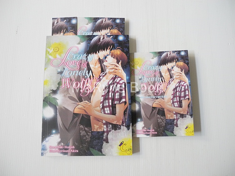 crazy love of lonely wolf (เล่มเดียวจบ)