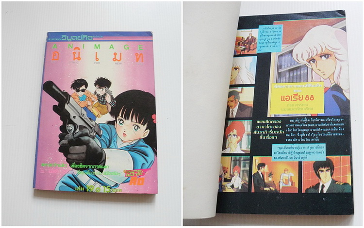 Animage / อนิเมท เล่ม 19