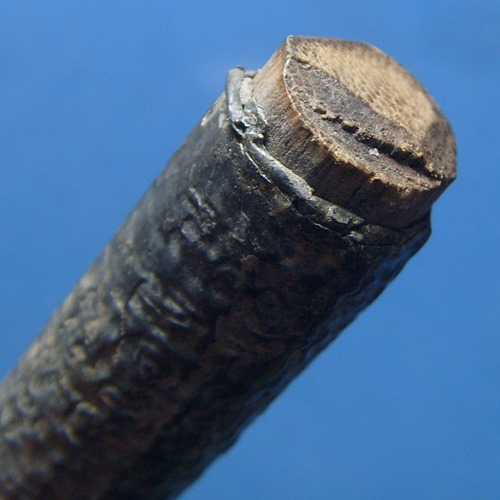 ตะกรุดหลวงปู่จันทร์ วัดนางหนู