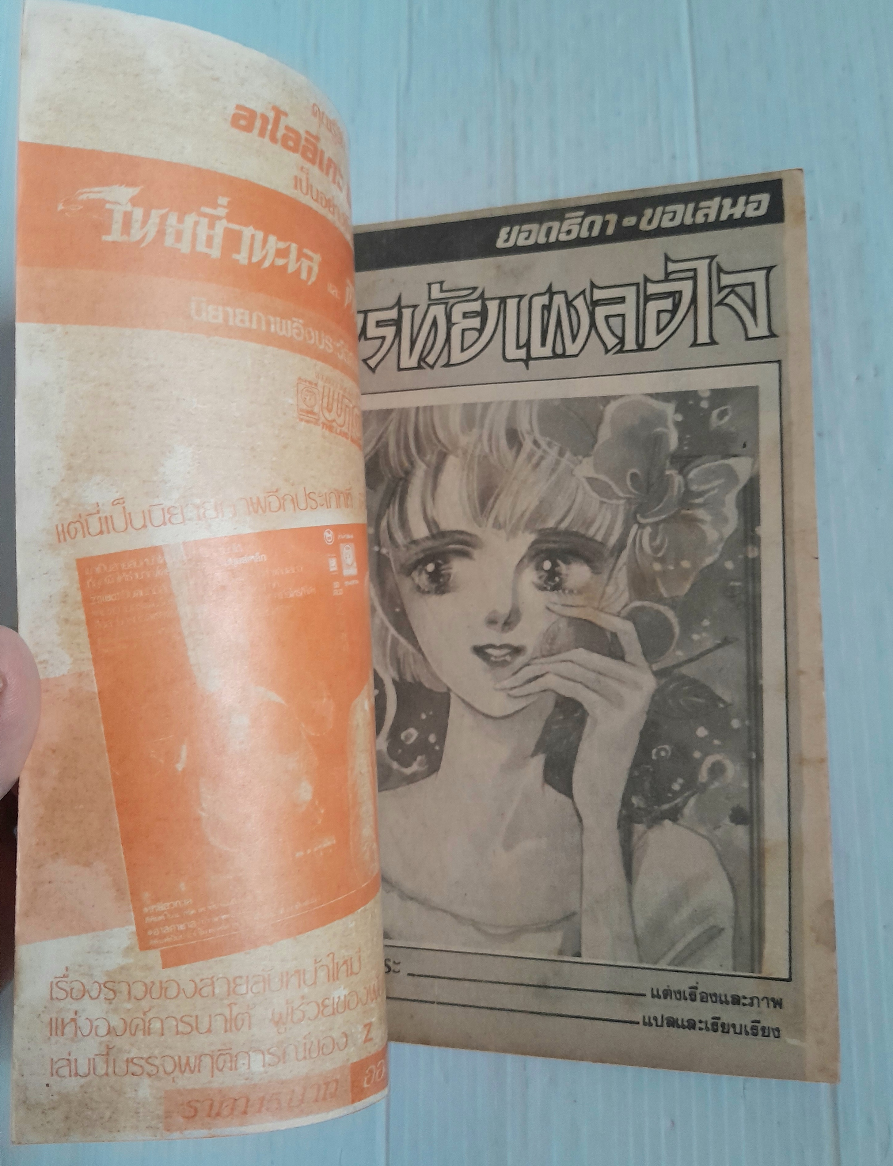 ิอรทัยเผลอใจ (เล่มเดียวจบ)