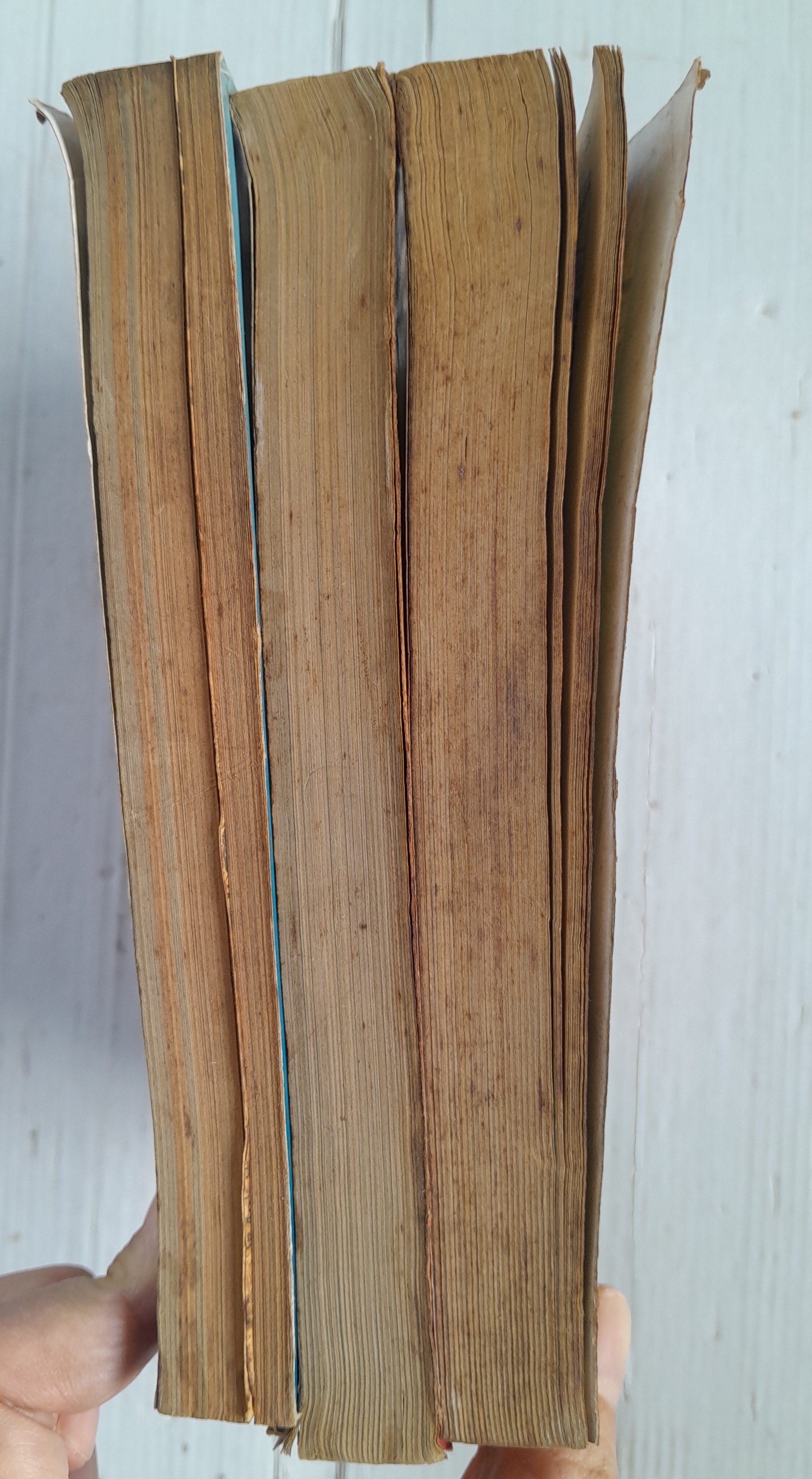 จิตอุบาทว์ เล่ม 1-3