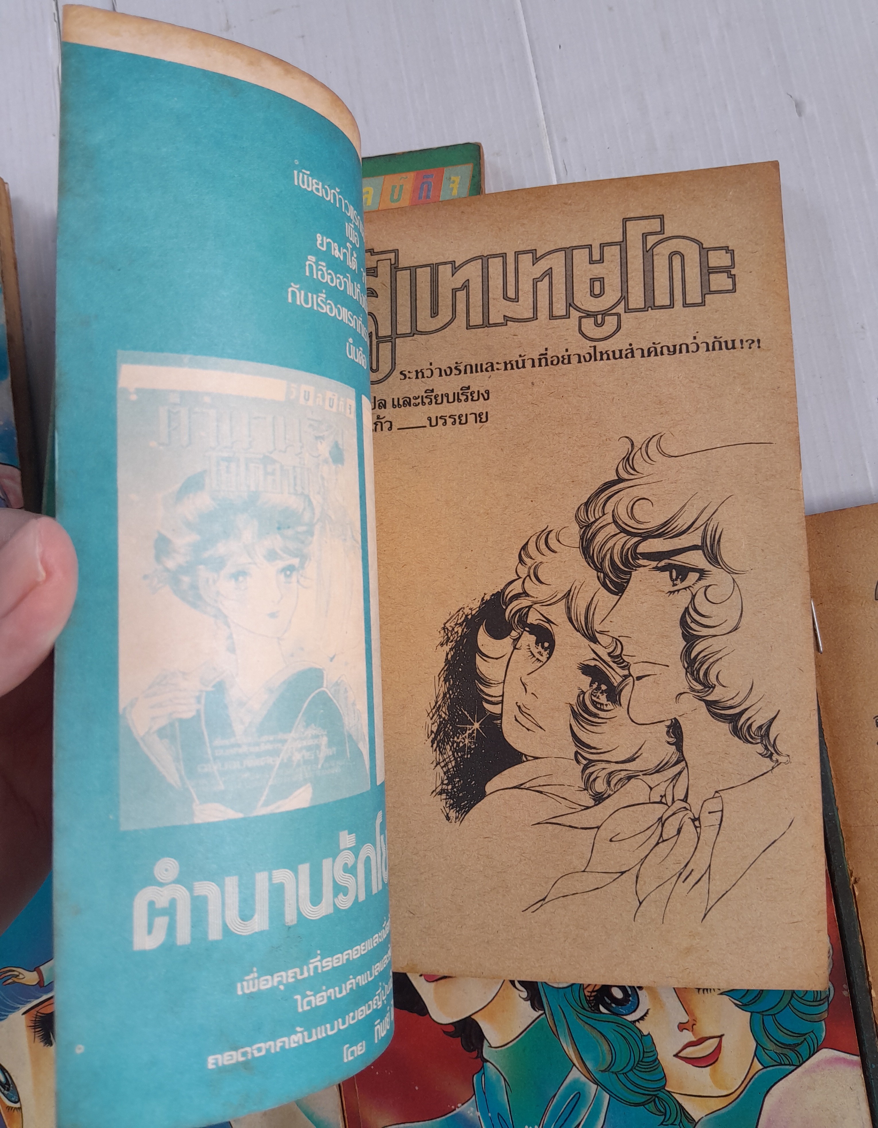 สู้เขามายูโกะ 8 เล่มจบ / ชิบาตะ อายูโกะ