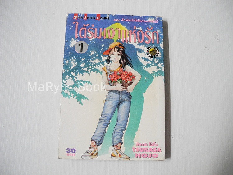 ใต้ร่มเงาแห่งรัก เล่ม 1 (3 เล่มจบ) / Tsukasa Hojo