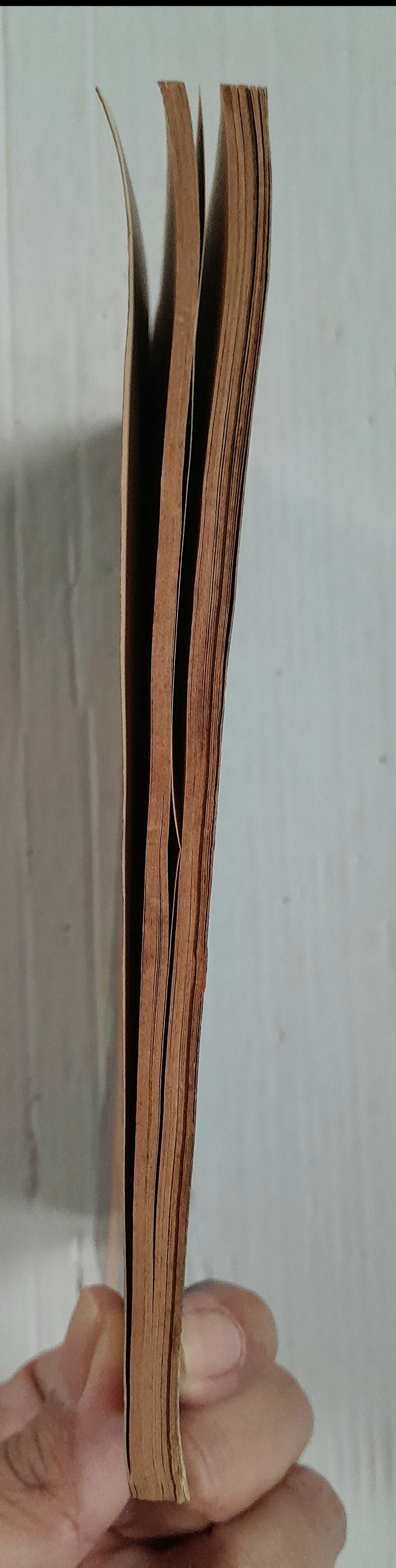 กอดวิญญาณ (เล่มเดียวจบ) / Kikukawa Chikako