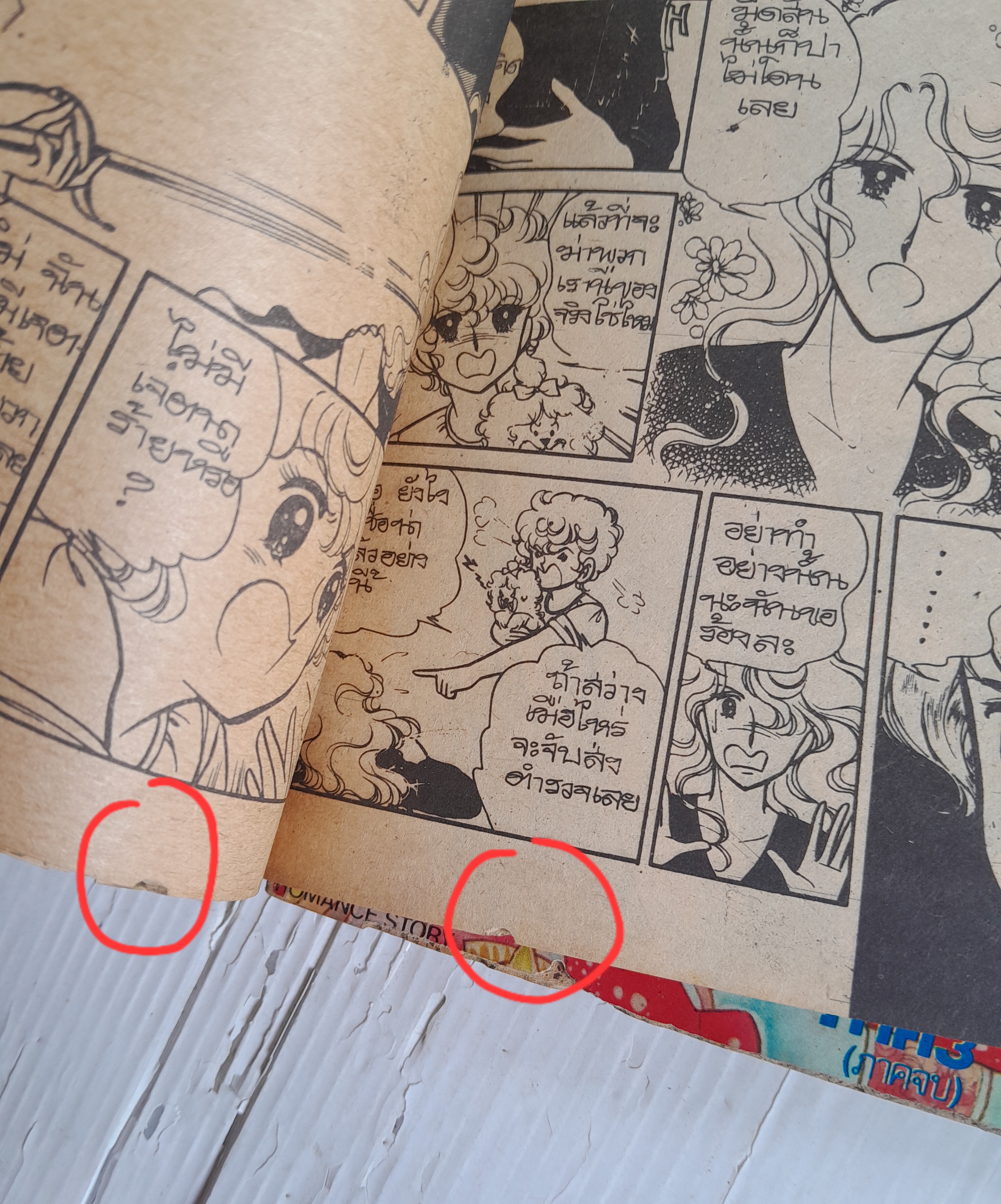 ละครสัตว์ที่รัก 3 เล่มจบ / อิงาราชิ ยูมิโกะ