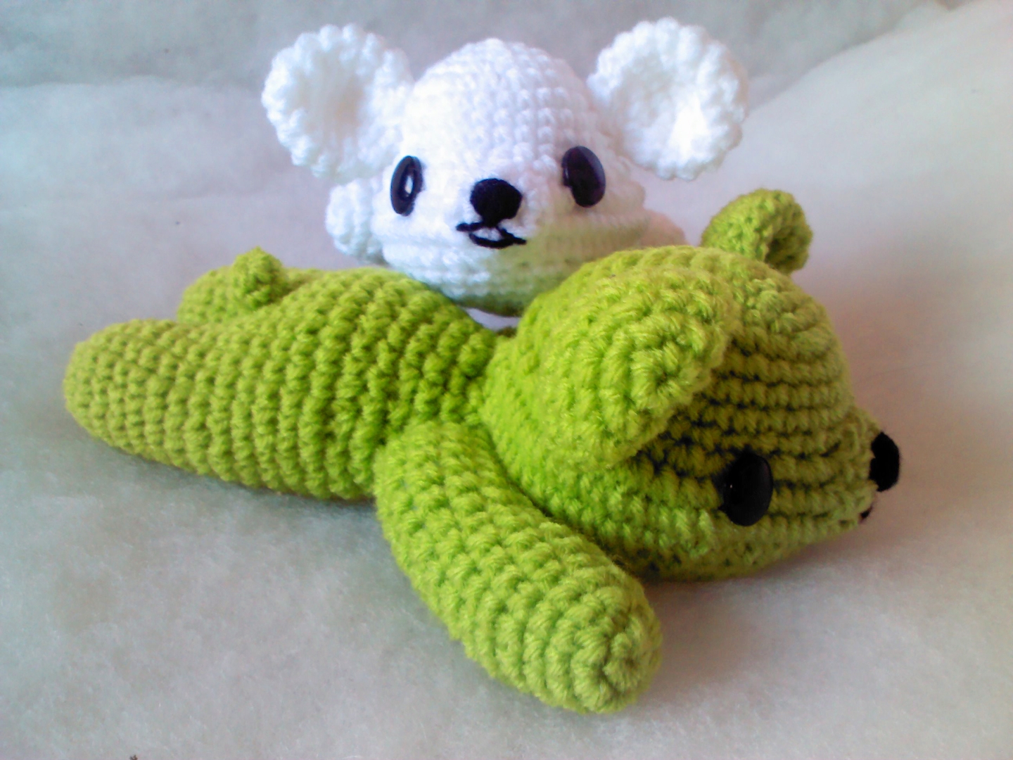 หมีนอนพัก