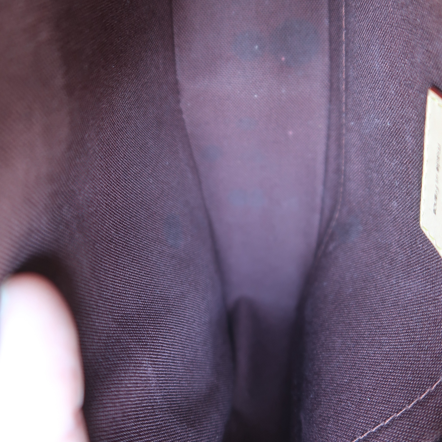 LV Monogram Vibe Bag