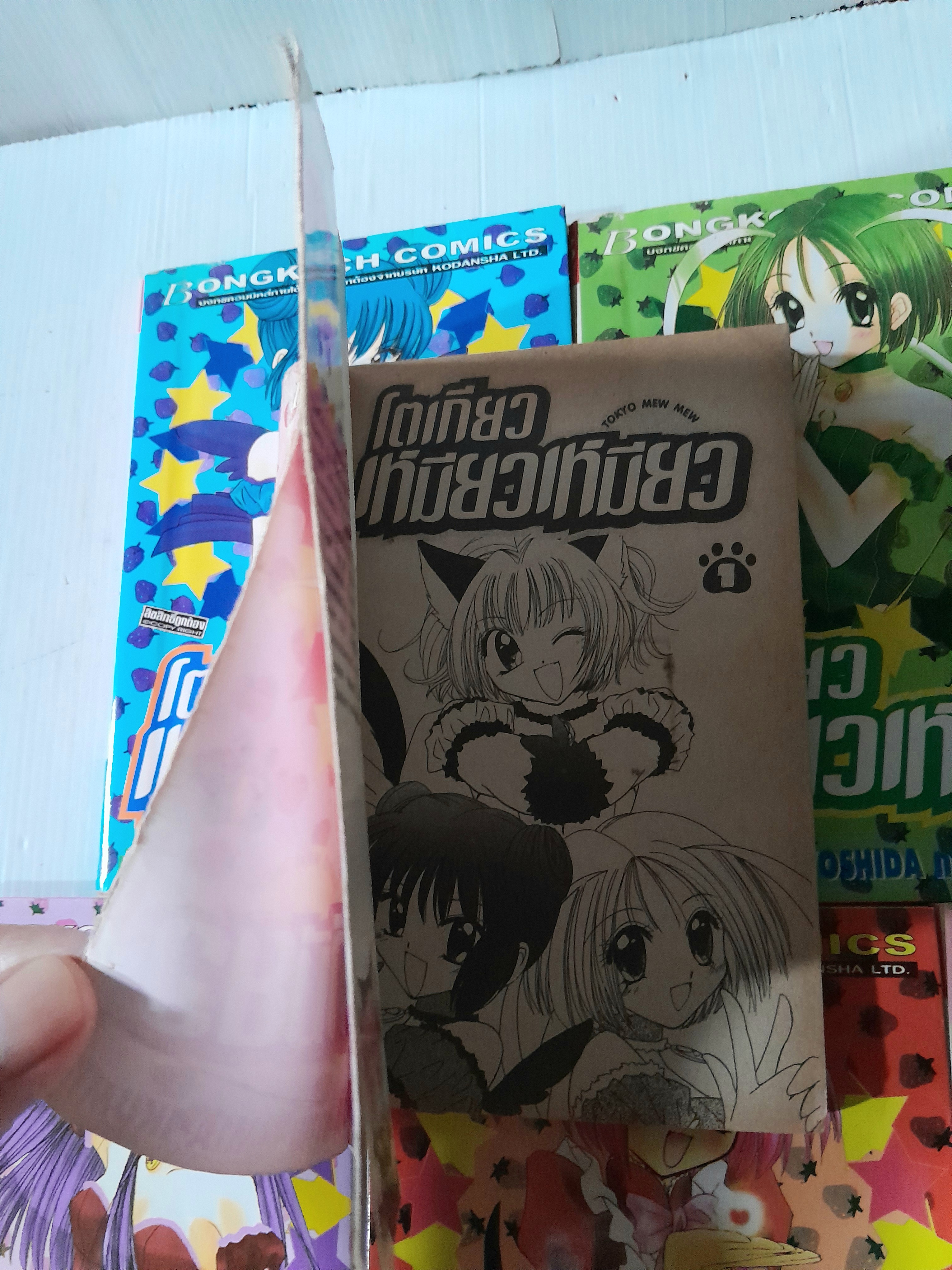 โตเกียวเหมียวเหมียว 7 เล่มจบ