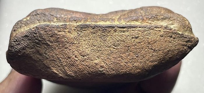 พระกรุศรีเทพ