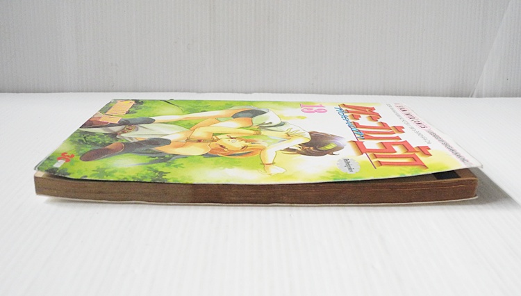 ตะวันรักที่ปลายฟ้า เล่ม 13 / Shinohara chie