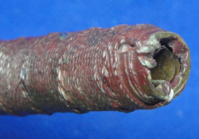 ตะกรุดหลวงพ่อกวย