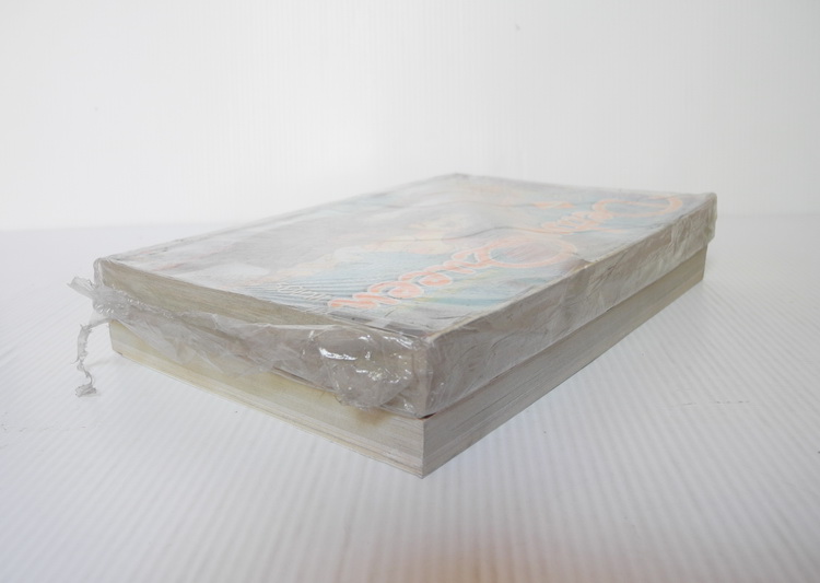 Derby Queen 2 เล่มจบ / hinako ashihara