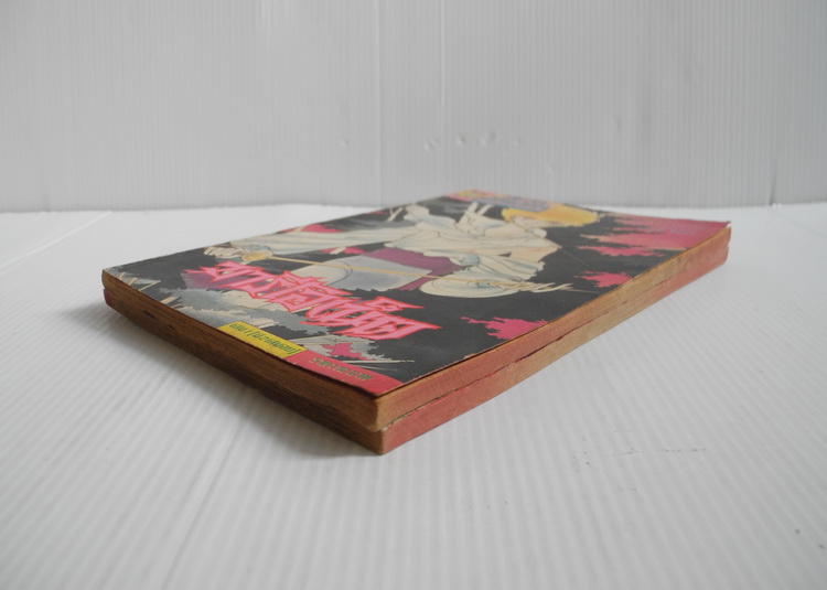 มารีโอเน็ต 2 เล่มจบ / มายูมิ ไอดะ