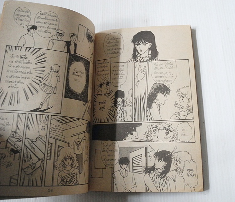 ชิงรักหักสวาท (เล่มเดียวจบ)