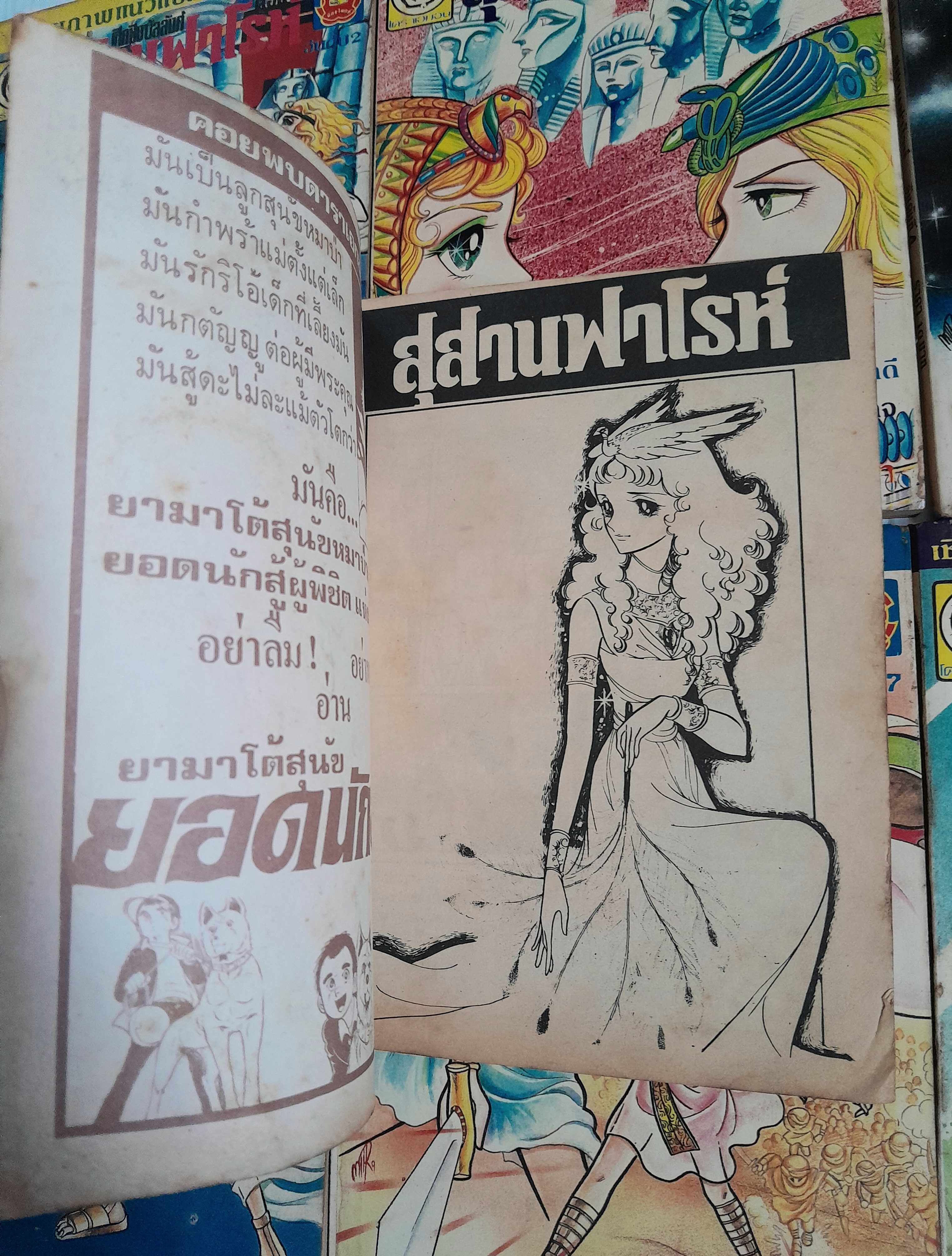 สุสานฟาโรห์ เล่ม 10 เล่มจบ / ทาเคมิยะ เคียวโกะ
