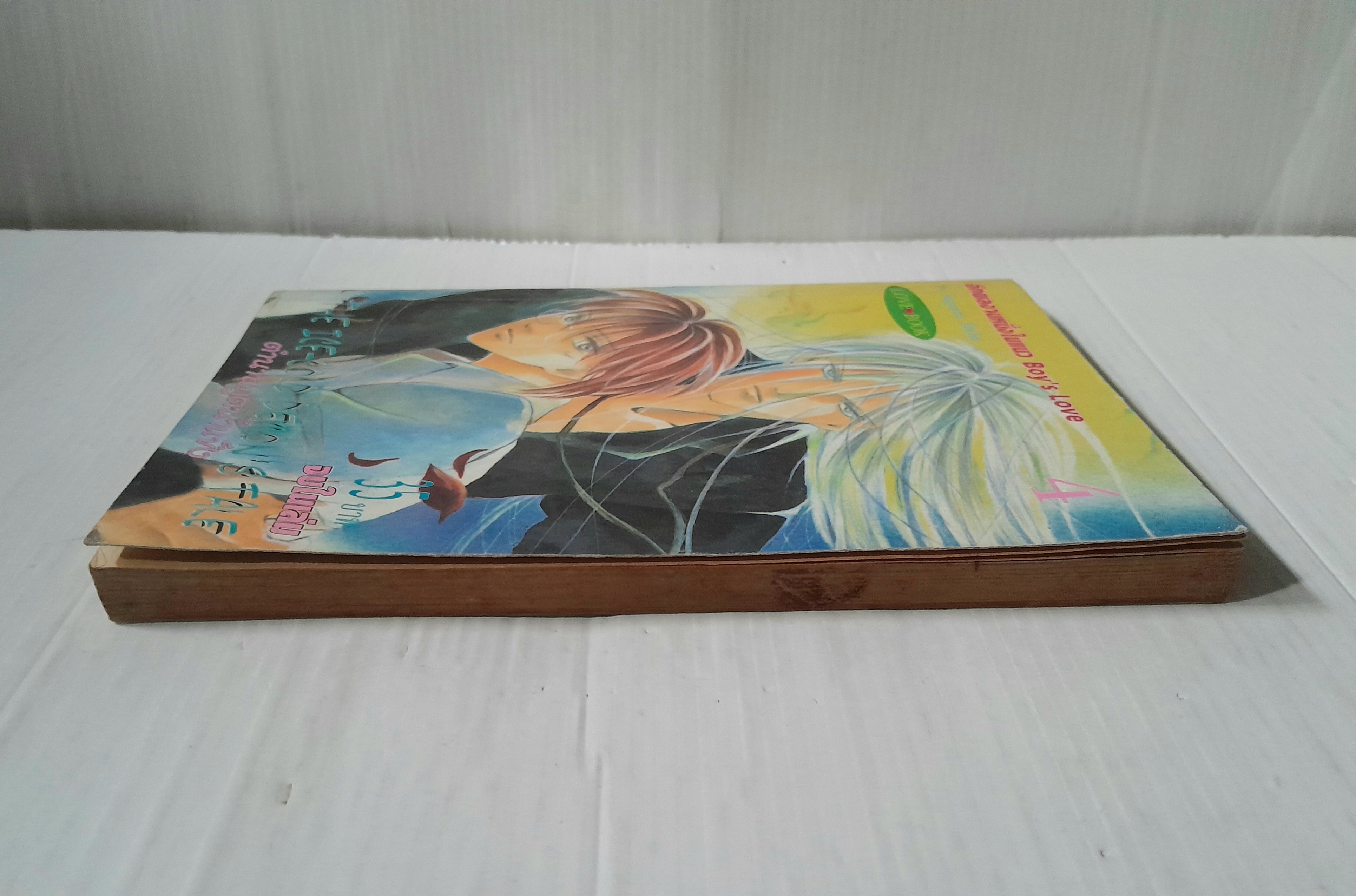 ตำนานภูตน้ำแข็ง เล่ม 4 (เล่มเดียวจบ) / Sugiura Shiho