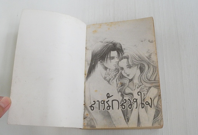 ลางรักลวงใจ (เล่มเดียวจบ)