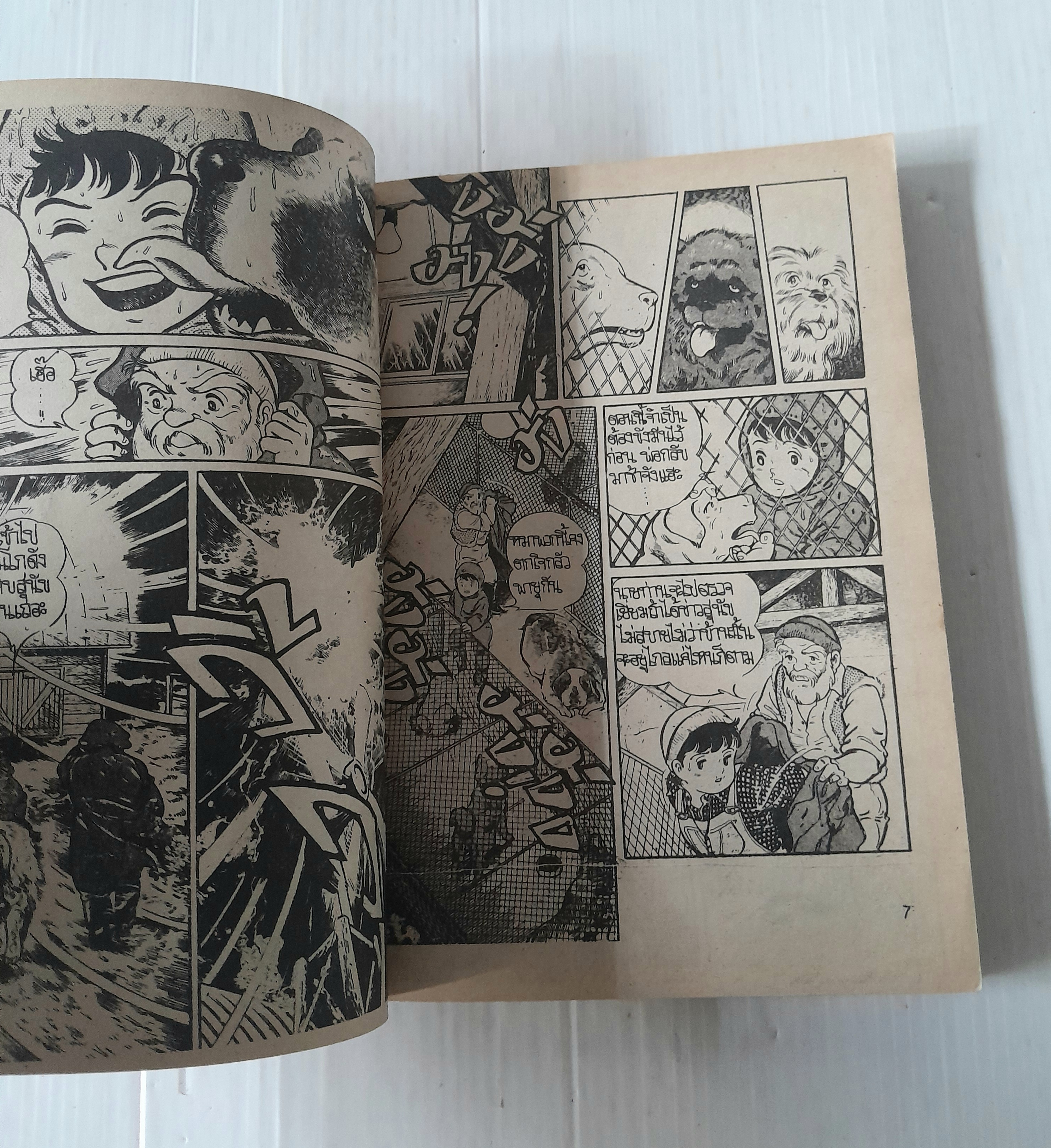 สุนัขจอมพลัง (เล่มเดียวจบ)