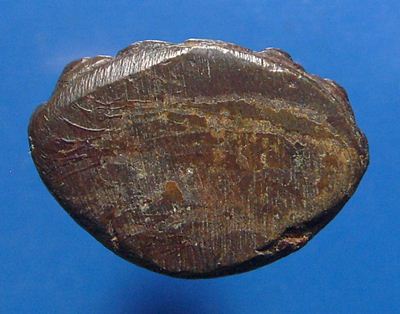 พระกริ่งวัดอรุณ