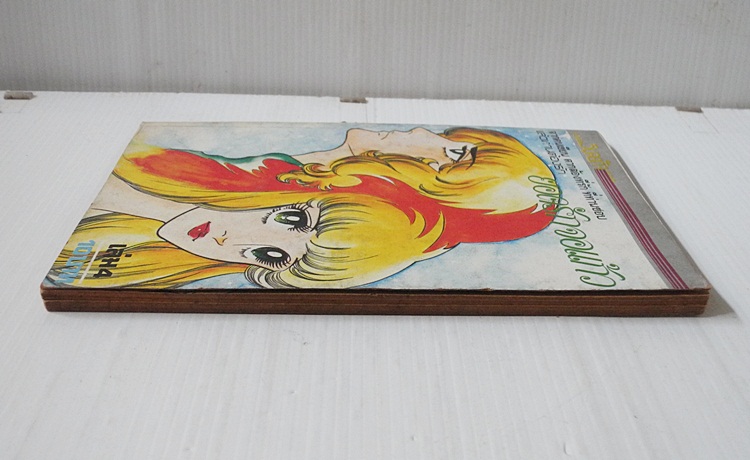 ยอดรักจอแก้ว เล่ม 4 (7 เล่มจบ) / Shibata Ayako.
