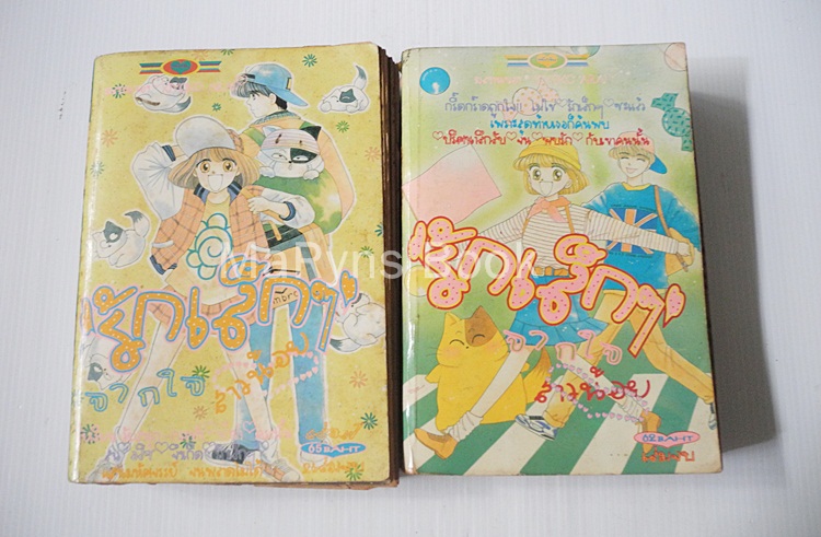รักเล็กๆจากใจสาวน้อย 2 เล่มจบ / ARAI Kiyoko