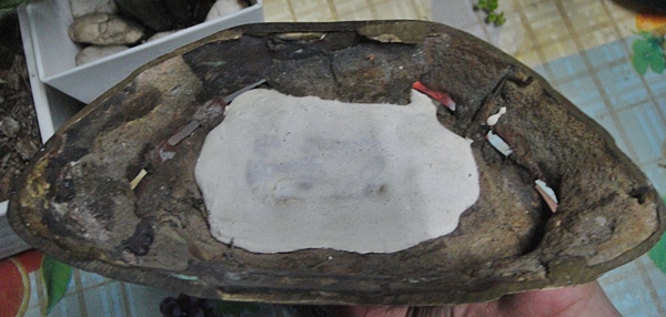 พระพุทธชินราช