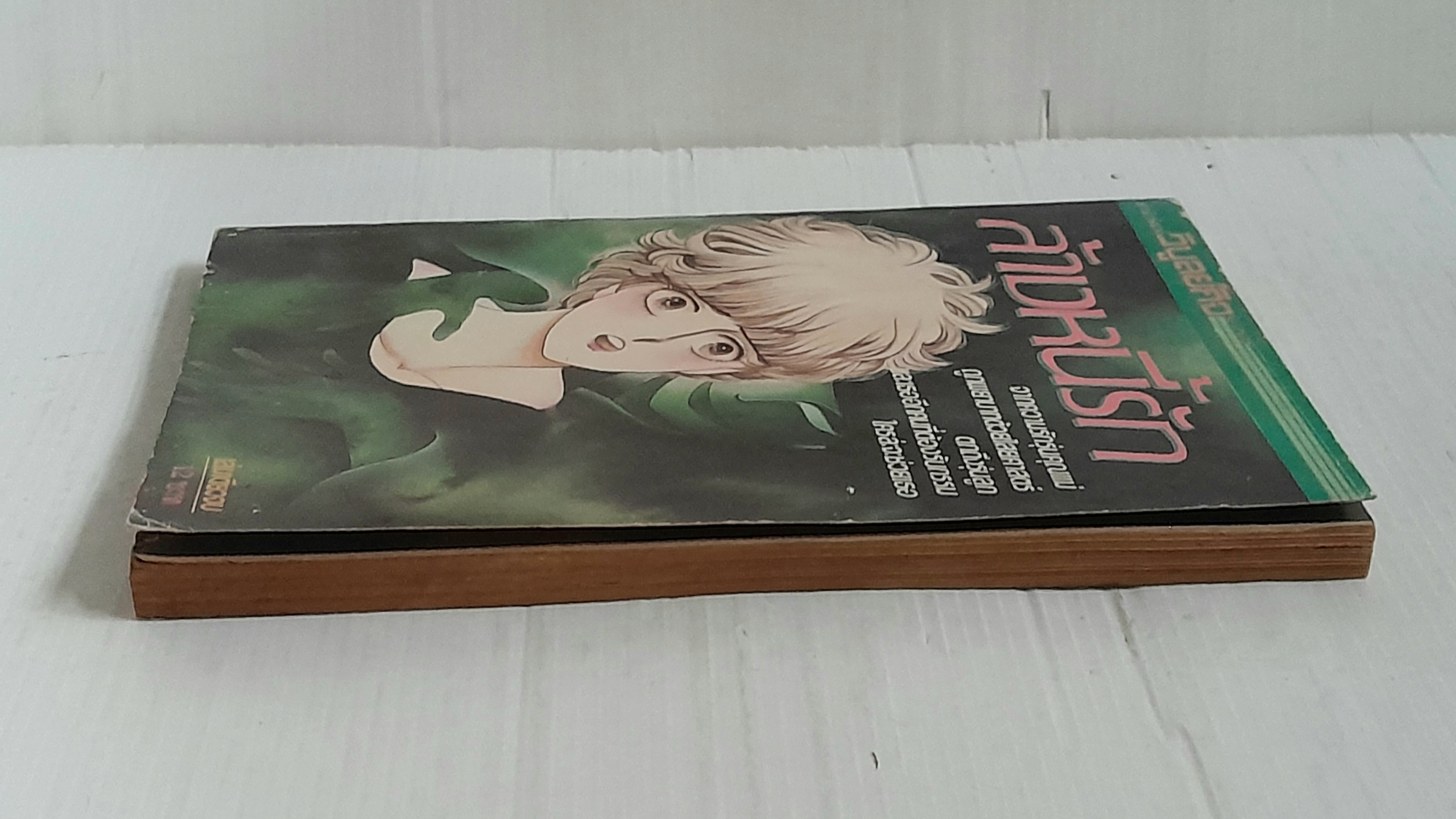 ล้างหนี้รัก (เล่มเดียวจบ)