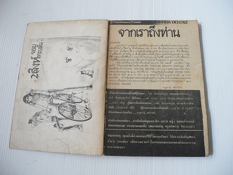 2 สิงห์จอมทะเล้น เล่ม 1