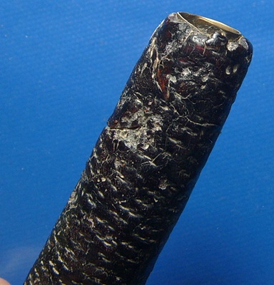 ตะกรุดโทนพอกคลั่ง