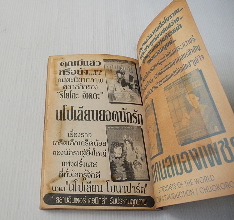 หน้าต่างลิขิตรัก เล่ม 9 / Riyoko Ikeda