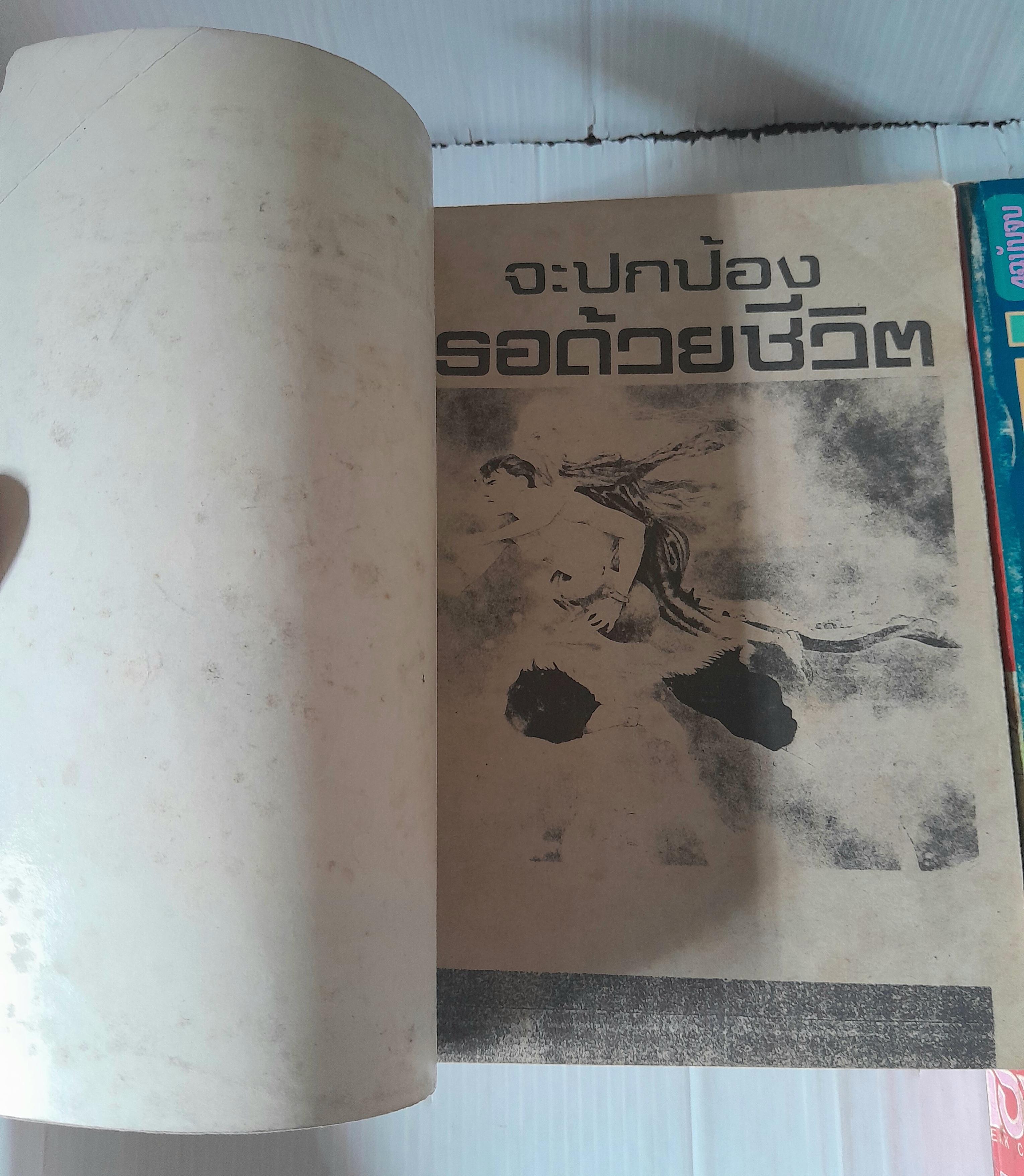 จะปกป้องเธอด้วยชีวิต 4 เล่มจบ