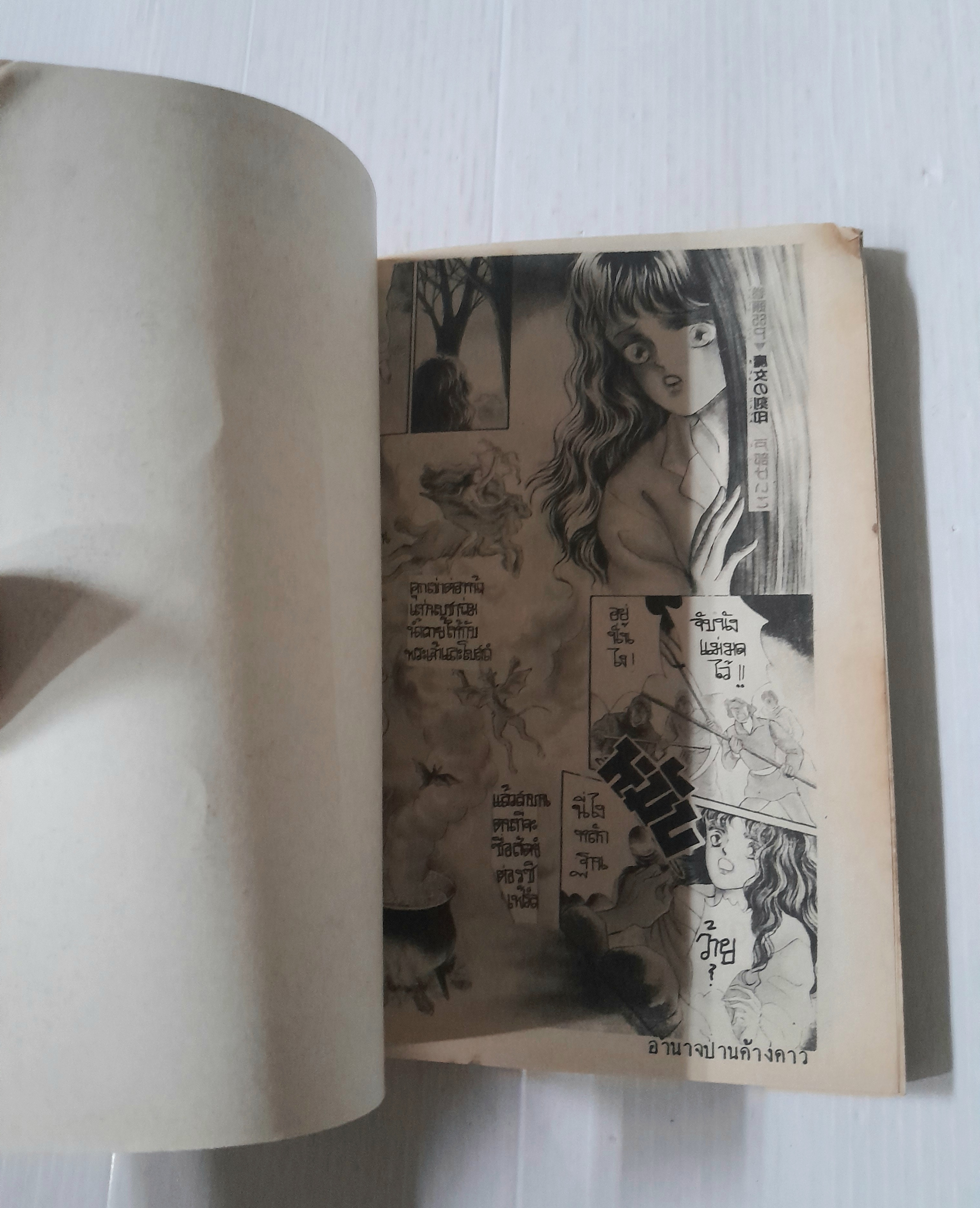 อำนาจปานค้างคาว (เล่มเดียวจบ) / Tobe Keiko