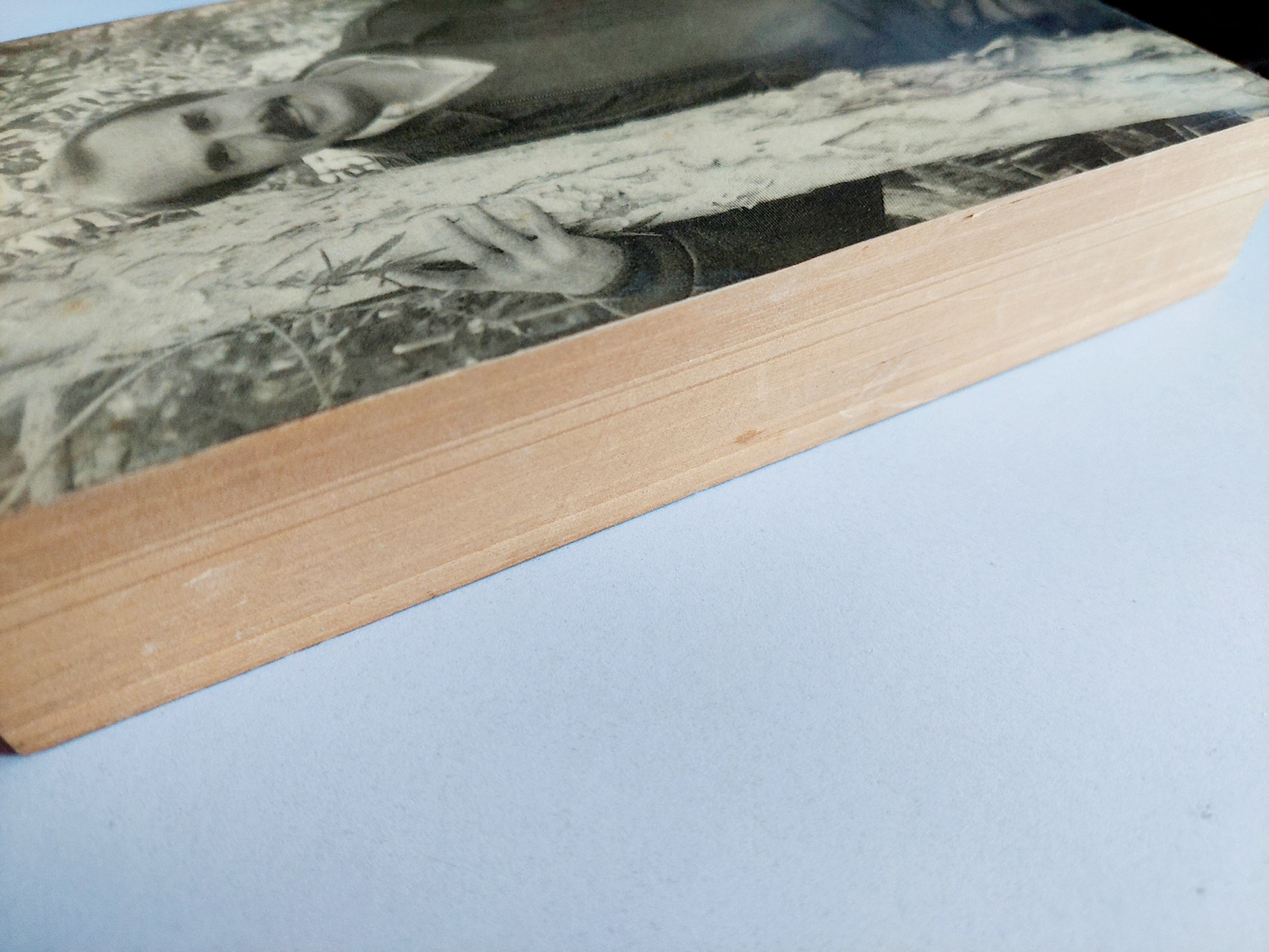 คืนอำมหิต / Dean Koontz / ปรัชญา วลัญช์