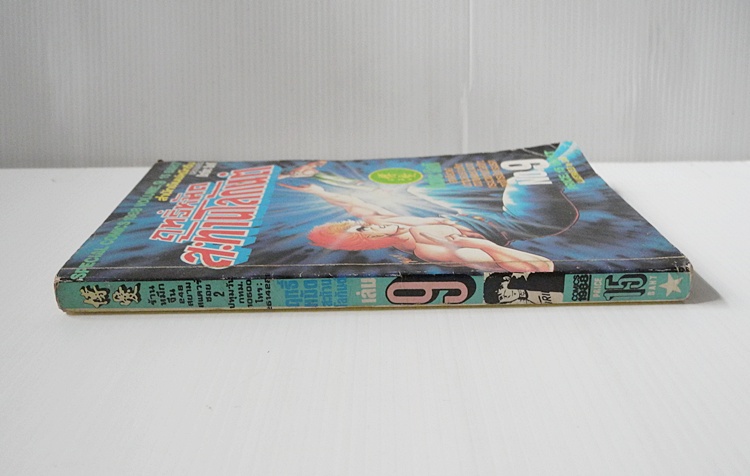 ฤทธิ์หมัดสะท้านโลกันต์ เล่ม 9 / มิตซึดะ