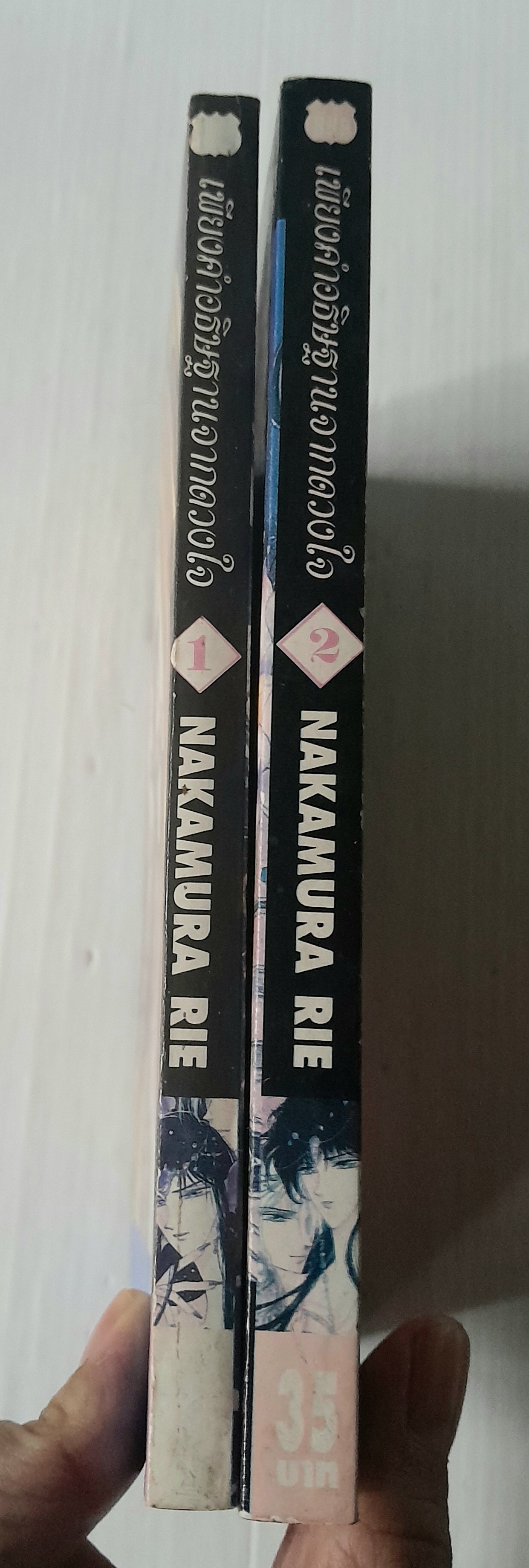 เพียงคำอธิษฐานจากดวงใจ 2 เล่มจบ / Rei Nakamura
