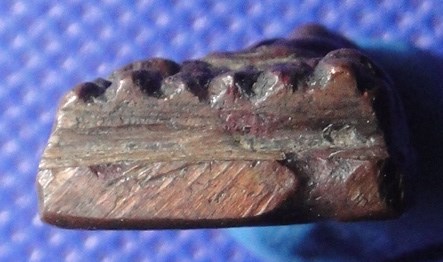 หลวงปู่ทวดอาปาเช่