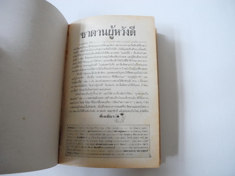 ซาตานผู้หวังดี ( เล่มเดียวจบ )