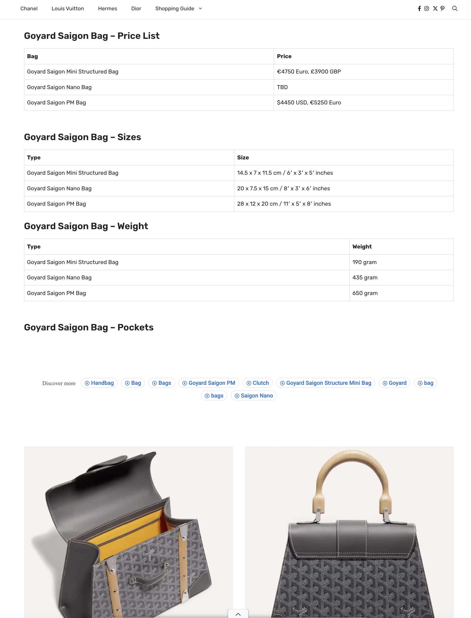 Goyard Grey Saigon Mini Structure (2023)