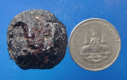 ลูกอมชานหมากหลวงพ่อเถิ่ง