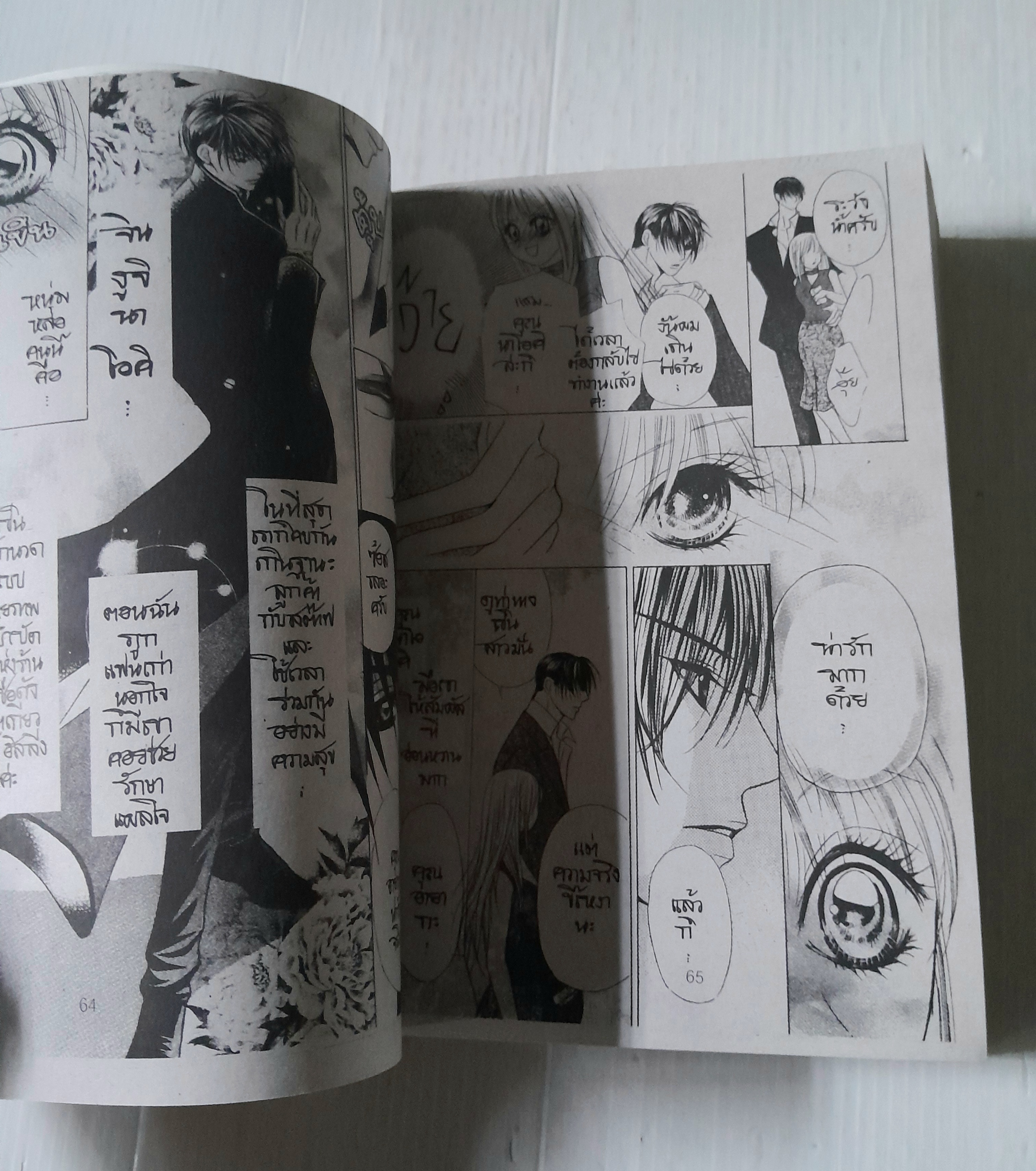 หนุ่มนักวาดนิ้วทอง (เล่มเดียวจบ)