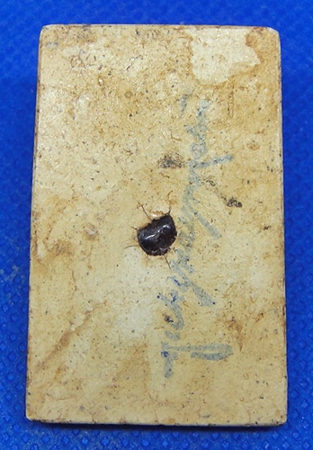 หลวงปู่อั๊บ วัดท้องไทร