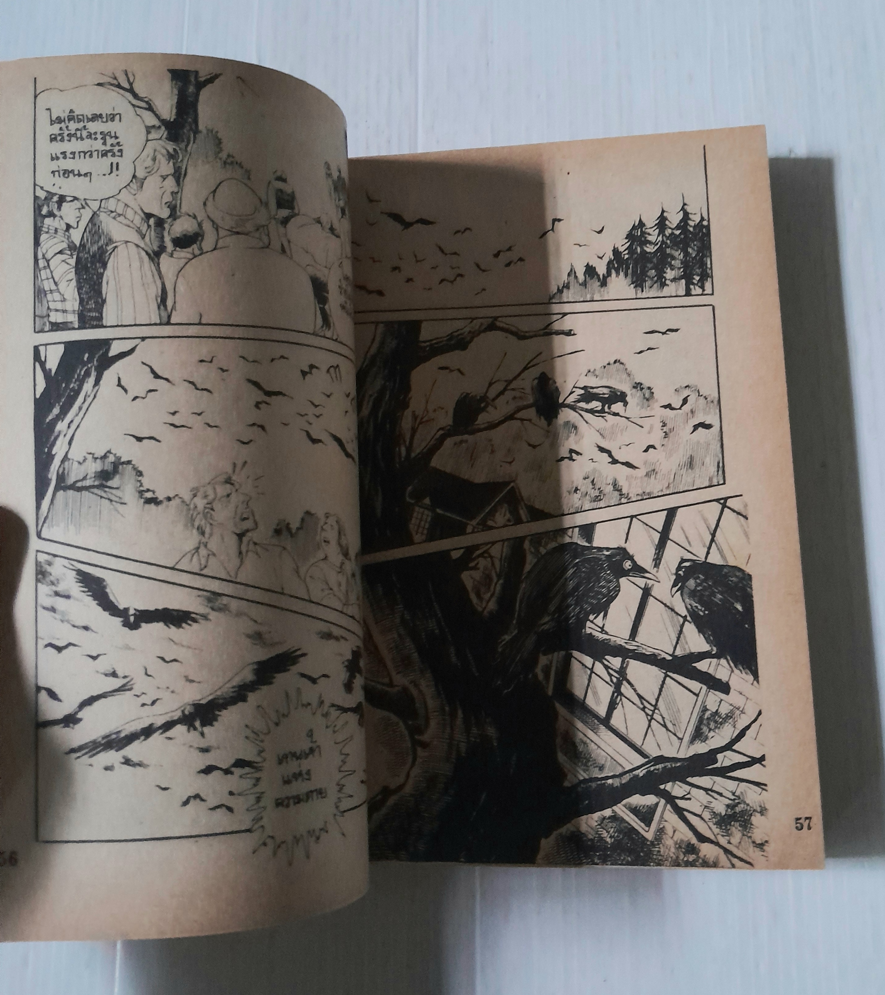 คฤหาสน์พิศวง (เล่มเดียวจบ)