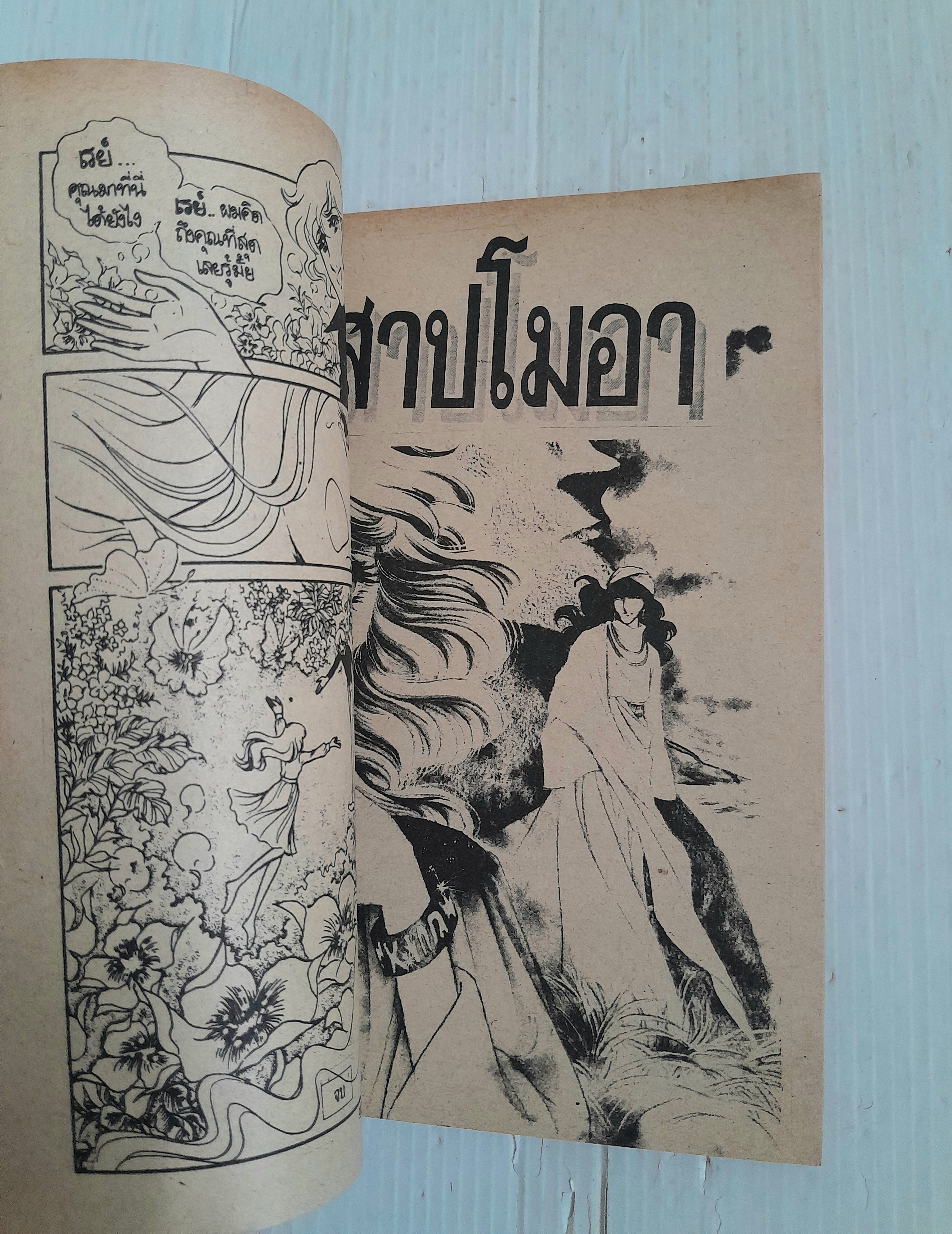 ปริศนาลาบัมบ้า (เล่มเดียวจบ) / ทากาชินะ เรียวโกะ