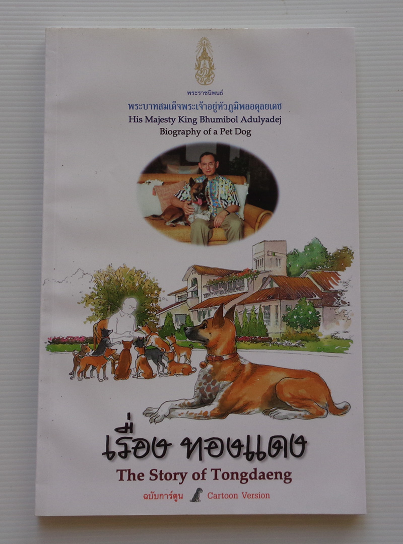 เรื่องทองแดง ฉบับการ์ตูน