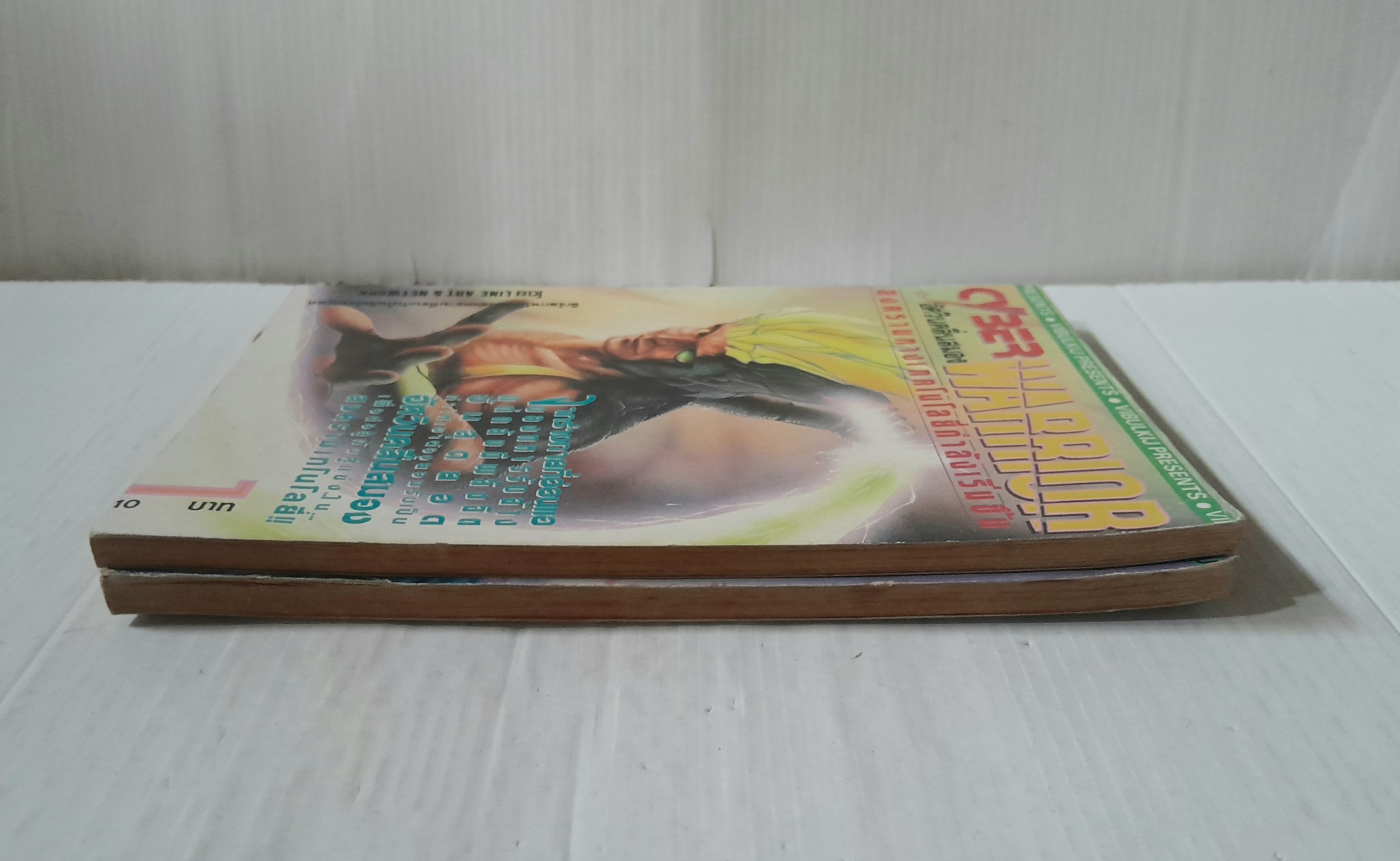 Cyber Warrior อัศวินคลื่นสมอง 2 เล่มจบ