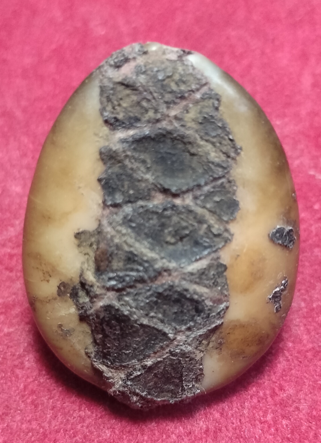 เบี้ยแก้