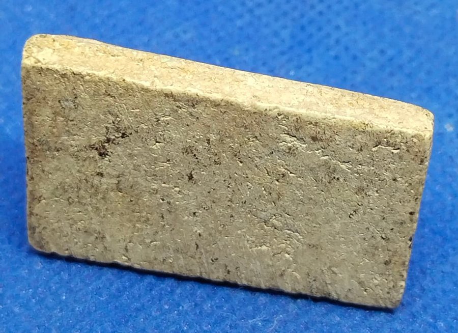 พระสมเด็จหลวงปู่นาค