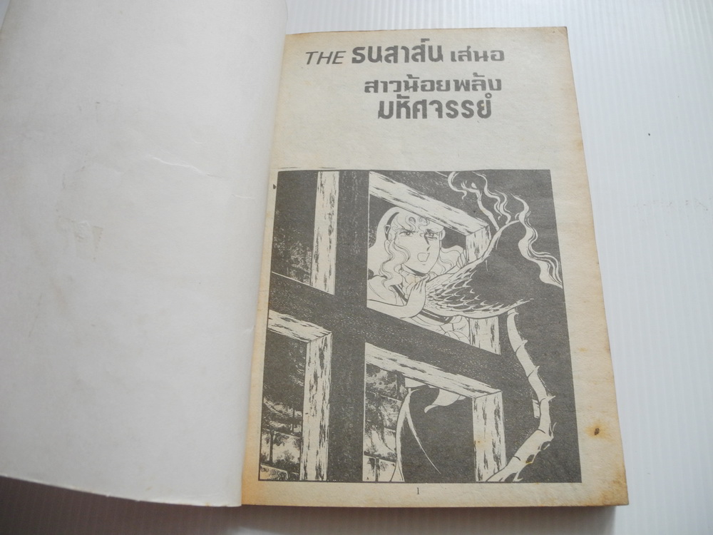 สาวน้อยพลังมหัศจรรย์ ( เล่มเดียวจบ )